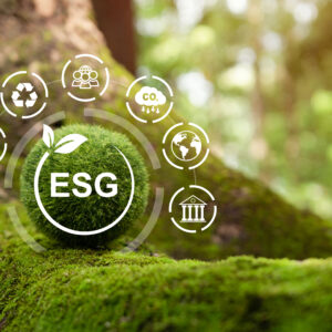 ESG (Environmental, Social and Corporate Governance)